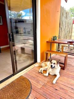Garden Oasis - Windhoek - 3