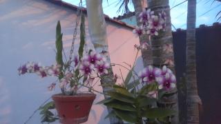 Casa com piscina de 2 dormitórios - 3