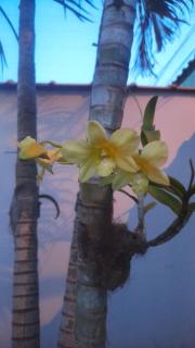 Casa com piscina de 2 dormitórios - 4