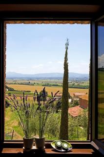 Breathtaking Villa w/Jacuzzi Tuscany Montepulciano - Valiano - 9