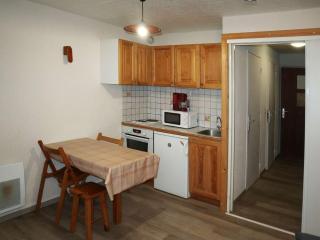 Studio calme en forêt, proche télésiège et commerces - FR-1-322-289 - Les Orres - 8