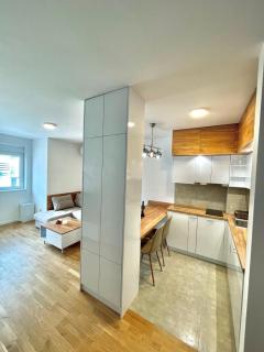 Tina Apartman Sokobanja - Soko Banja - 3