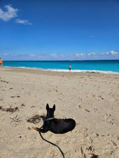 3 bedroom Casa Azul in Historic Northwood Hills - 9