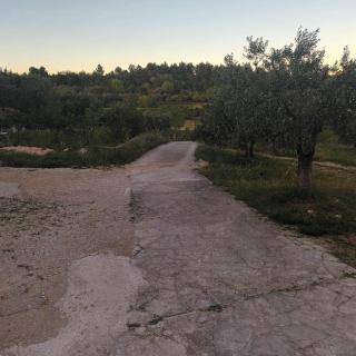 Apartman Skradin (nono) - Skradin - 2