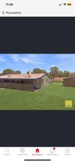 Jabiru (Stork) Wetland Farmstay - Deepwater - 5