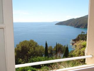 Appartement T3 75m², 2 terrasses avec accès direct aux calanques, WIFI, parking privatif - FR-1-100-147 - Cavalaire-sur-Mer - 1