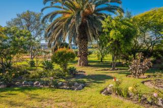 Cabañas Villa Los Platanos - La Serena - 1