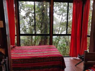 Bellavista Cloud Forest Lodge & Private Protected Area - Tandayapa - 8