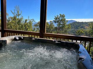 Classy Bear Cabin - Gatlinburg - 1