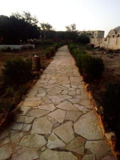 oasis panorama - 1