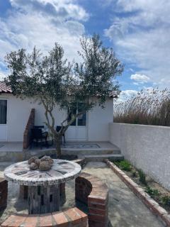 Diarla's Home 3 - Darëzeza e Re - 9