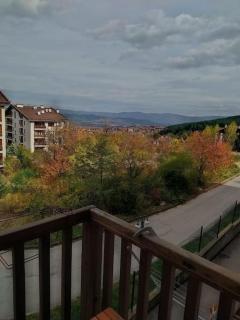 2BR mountain view, SPA, parking, ski piste - Bansko - 3