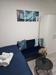 Cozy Ground-Floor Studio, Excellent City Access - 9