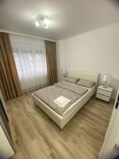 Apartament Daria - Timişoara - 7