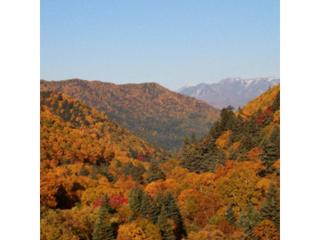Mount View Hotel - Vacation STAY 39974v - Kamikawa - 2