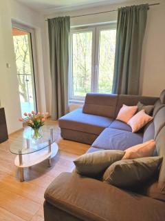 Seaside Forest - Apartment Polanki - 7