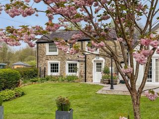 Miners Arms Cottage - Stepaside - 8