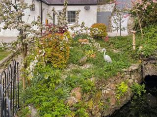 Miners Arms Cottage - 4