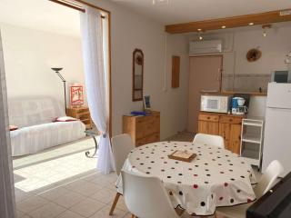 Confortable T2 Bis avec Terrasse et Vue Étang, Climatisé, Classé 2 Étoiles, Wifi - FR-1-553-155 - Balaruc-les-Bains - 6