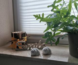 Ferienwohnung Schnegge-Eck direkt am Klingbachrad- und Spazierweg - 9