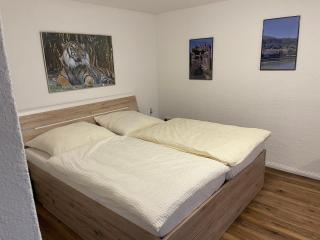 Hotel Sonne - Sinsheim - 8
