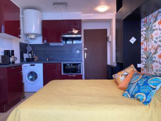 Joli Studio rénové avec loggia fermée, tout équipé, WIFI, classé 2 étoiles à Balaruc-les-Bains - FR-1-553-161 - 5