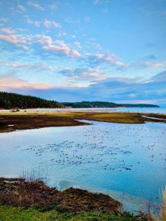 Beautiful Oceanview Retreat 2 Bedroom Home - Port Hadlock - 0