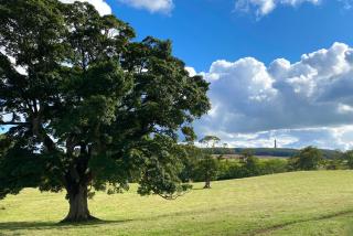 Fairnington East Wing - Kelso - 6