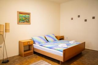 Apartmaji PAJTLER - Zgornja Kungota - 8