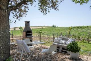 Marsy3 - Enchanting Lavender Farm Whole Property - Marsiliana - 6