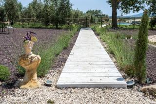 Marsy3 - Enchanting Lavender Farm Whole Property - Marsiliana - 2