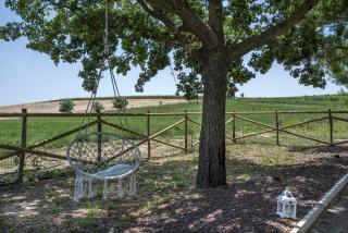 Marsy3 - Enchanting Lavender Farm Whole Property - Marsiliana - 1