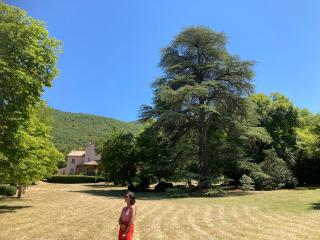 Souterrain Villa Aulan, 6 personen - Montbrun-les-Bains - 1