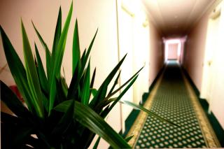 Hotel Europa - Rende - 3