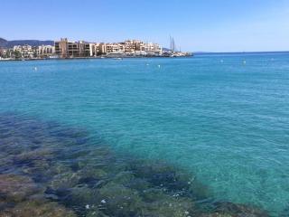 Charmant T2 à Bormes-les-Mimosas, 4 couchages, parking, proche mer et commerces, ménage inclus - FR-1-251-803 - Bormes-les-Mimosas - 1