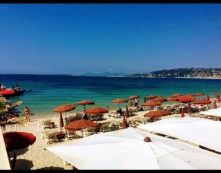 Les Palmiers - Studio cosy proche plages et centre - Antibes - 7