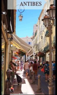 Les Palmiers - Studio cosy proche plages et centre - Antibes - 1