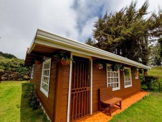 Cabaña Emperador – The place for QUETZALS lovers! - Copey - 3