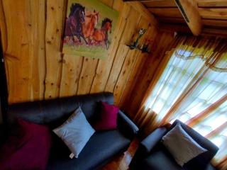 Cabaña Emperador – The place for QUETZALS lovers! - Copey - 2