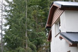 Casa Llao alojamiento de montaña - San Carlos de Bariloche - 6