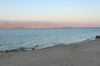 Apartments by the sea Vir - 21649 - Vir - 7