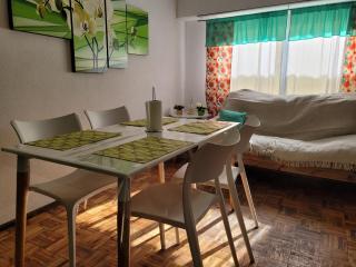 Departamento Centrico Mar del Plata, 2 ambientes - Mar del Plata - 0