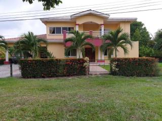 Little paradise - Tela - 6