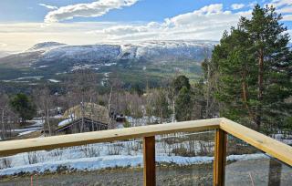 Beautiful Home In Oppdal With Kitchen - Oppdal - 8