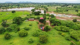 Animal View Point Yala - Tissamaharama - 7