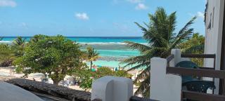 Hotel Blue Reef frente al mar - Mahahual - 9