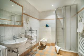 Landhotel Steindlwirt - Dorfgastein - 6