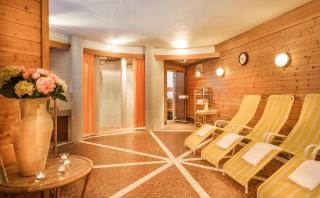 Landhotel Steindlwirt - Dorfgastein - 4