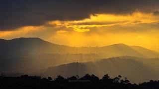 Cloudy Court Resort - Idukki - 3