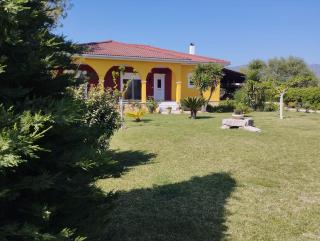 Loukas Farm House - Ayios Kirikos - 7